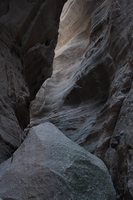 © Doug Goodman